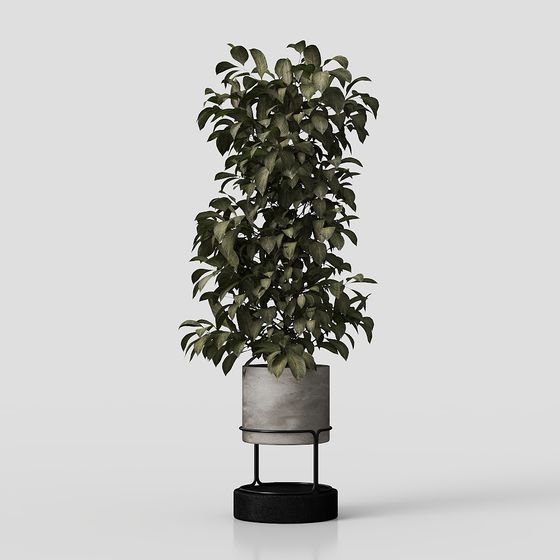 Urban Oasis Low Poly 3D Model