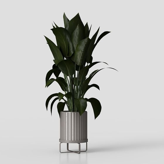 Cây Xanh Trong Nhà