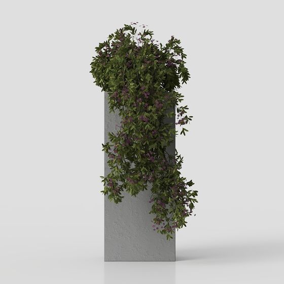 Lively Climbing Green Plant 3D model