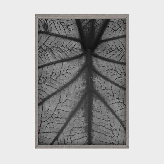 Realistic Ancient Bark Texture 3D Model