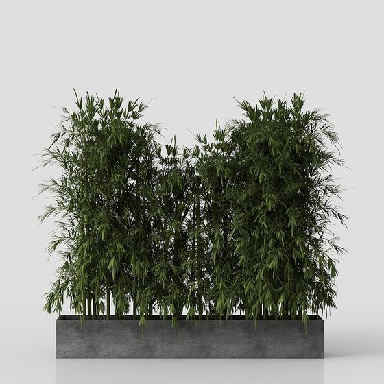 Bamboo Forest Flower Bed 3D Model