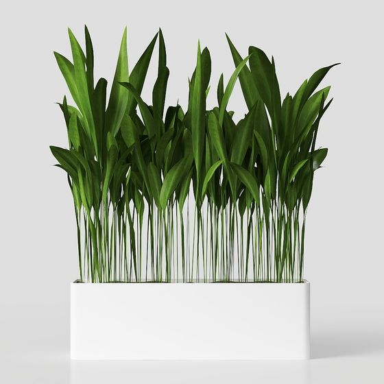 Lush Green Plant Pot 3D Model
