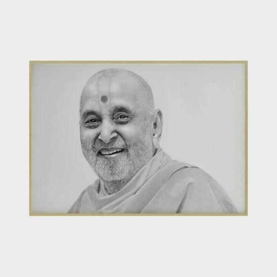 Majestic Smiling Sage 3D model for Modern Spaces