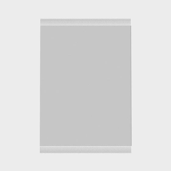 Elegant Minimalist Carpet 3D model