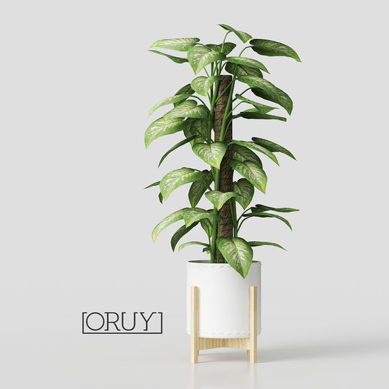 Oruy Green Plant 3D Model for Contemporary Spaces