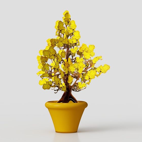 Mini Potted Plant 3D model