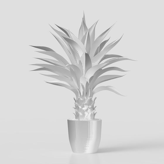 Agave Plant 3D model