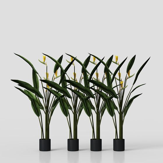 Tropical Plant 3D model for Creative Projects