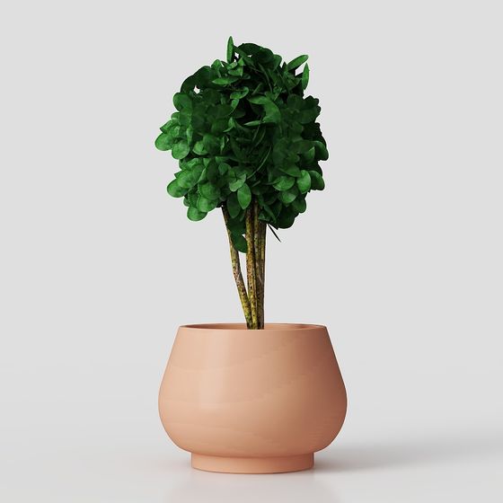 Stylish Indoor Plant 3D Model for Creative Use