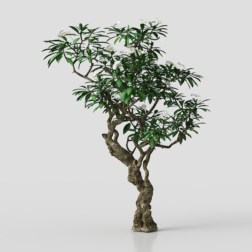 C&Acirc;Y HOA ĐẠI