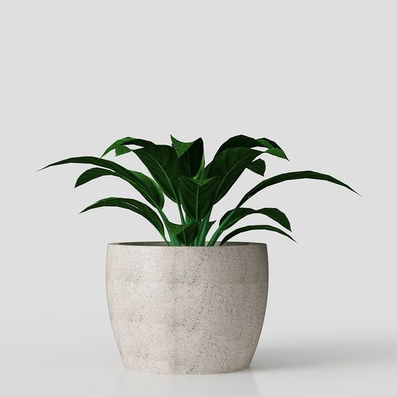 VASO+PLANTA+DECORACIÓN+PACOVA+2