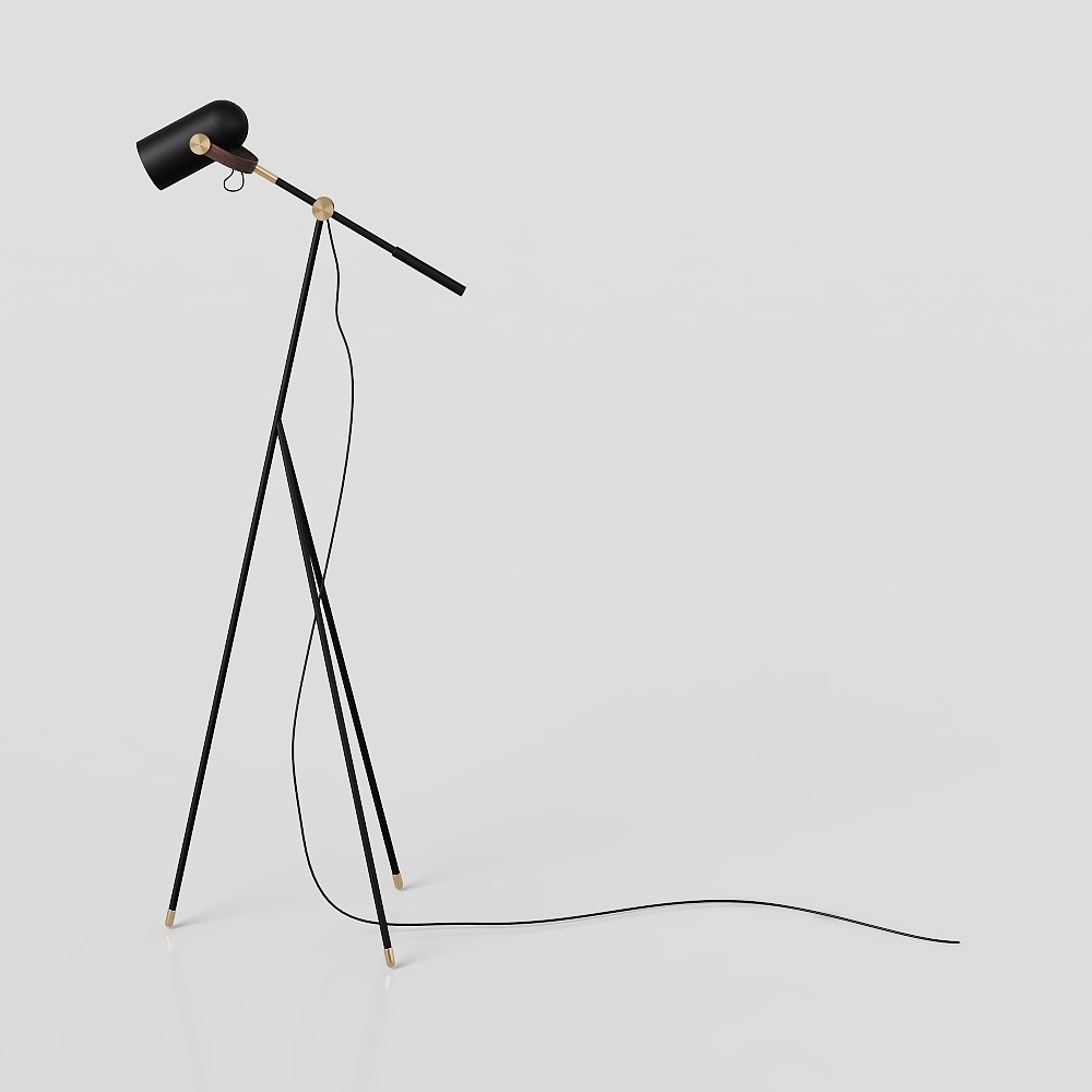 Floor Lamp Meddra T6094