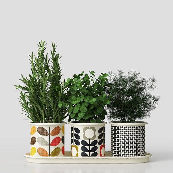 Elegant Low-Poly Plant Rack 3D model for Modern Spaces