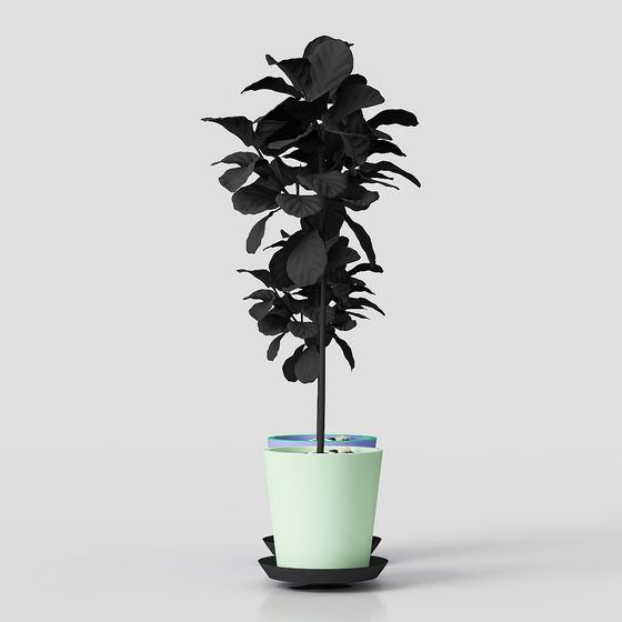 Urban Greenery 3D model for Contemporary Interior Spaces