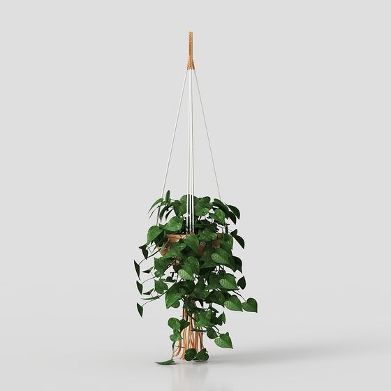 Low-Polygon Hanging Plant 3D Model for Modern Interiors