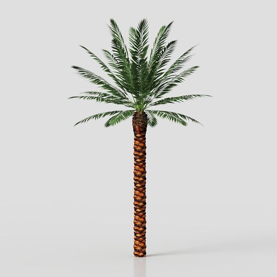 Low-Poly Palm Tree 3D model