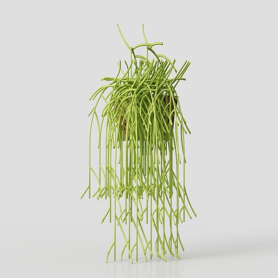 Lively Hanging Plant 3D model