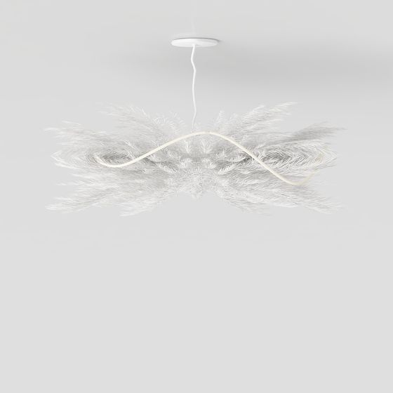 Feather Wings 3D model