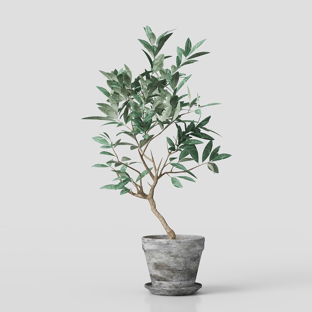 グループ2098672232