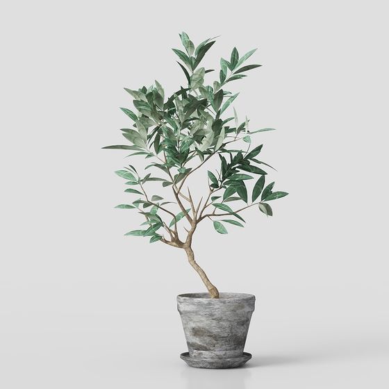 グループ2098672232