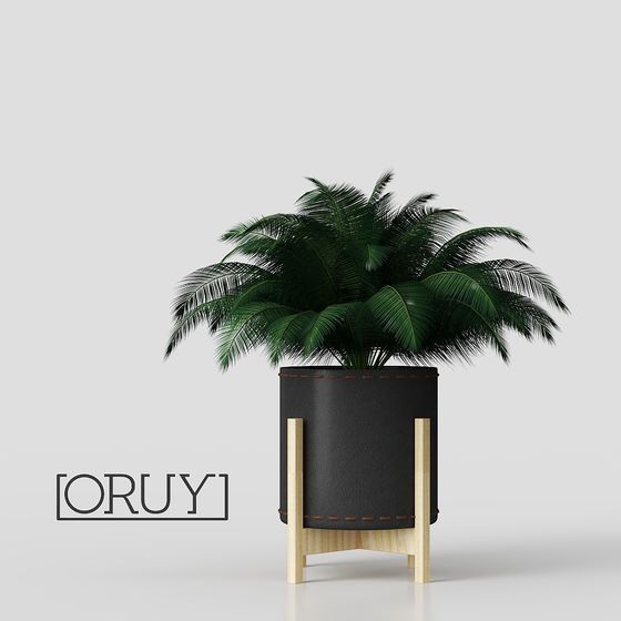 Oruy Plant Stand 3D model for Modern Interiors