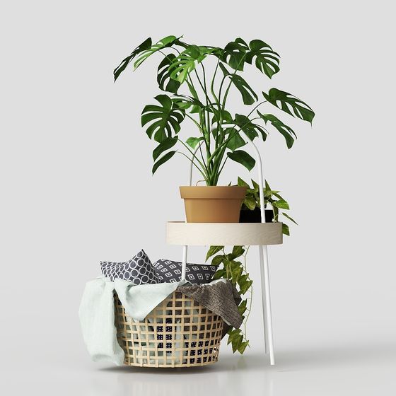 Stylish Indoor Plant Stand 3D Model