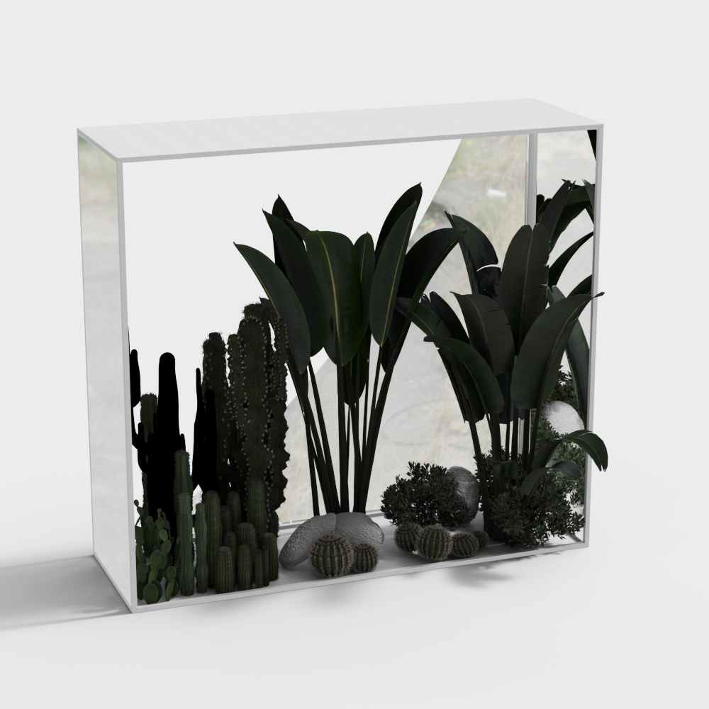 Indoor Plant Landscape