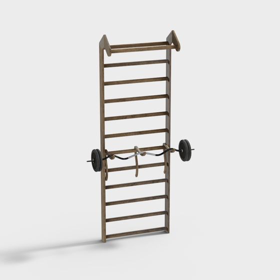 Wall-Mounted Fitness Rack 3D model