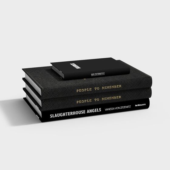 ของประดับหนังสือ