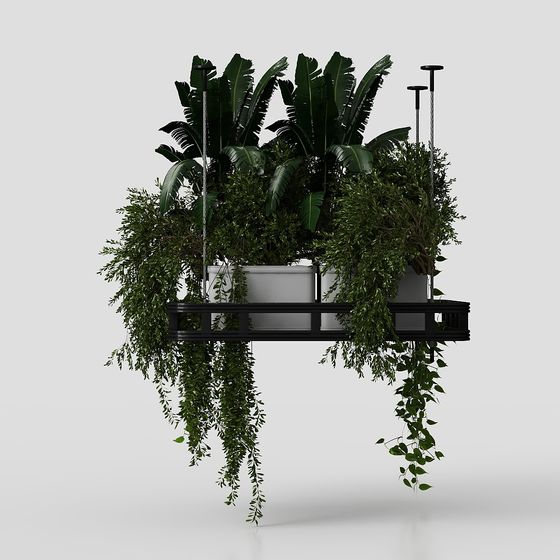 Hanging Plant Rack 3D model for Modern Spaces