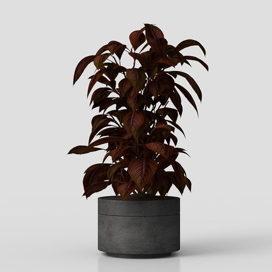 Concrete Plant Pot 3D model for Modern Spaces