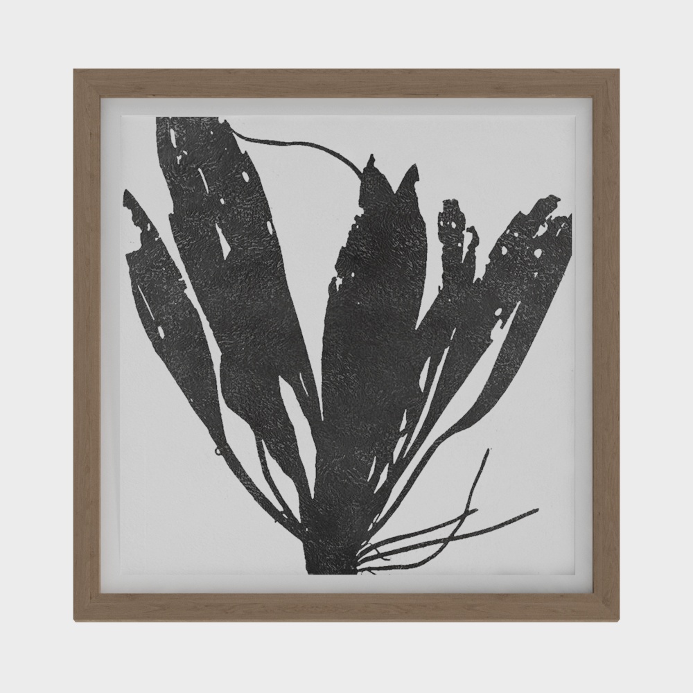 ภาพวาดตกแต่ง