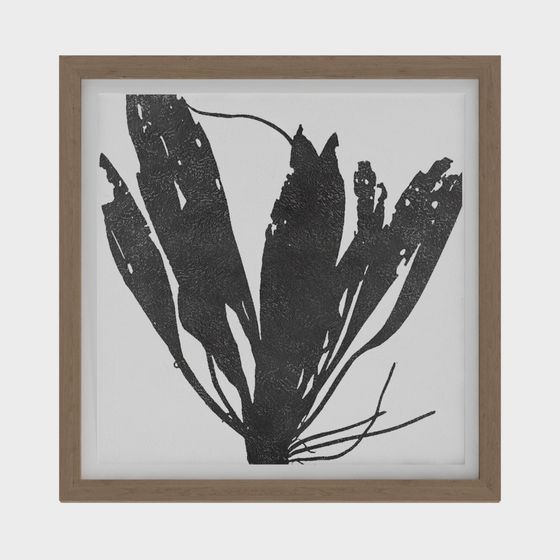 ภาพวาดตกแต่ง