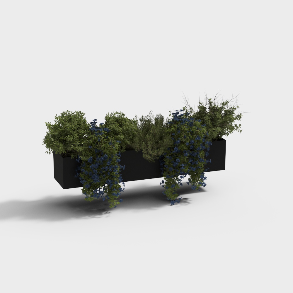 アウトドア植物