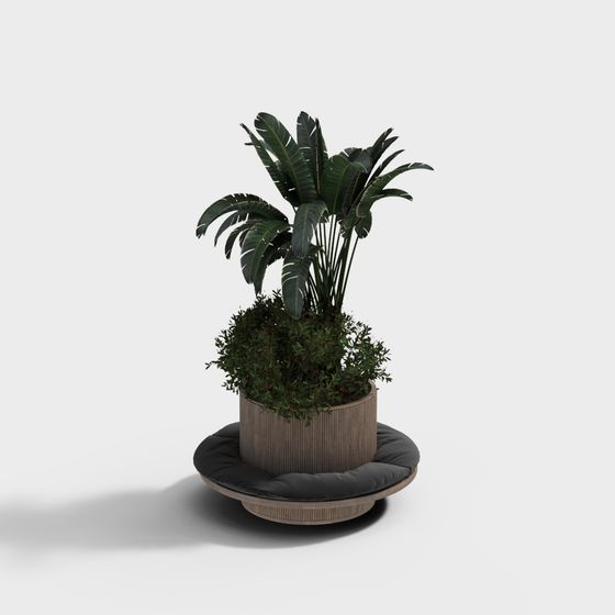 Indoor Green Plant Seat 3D model