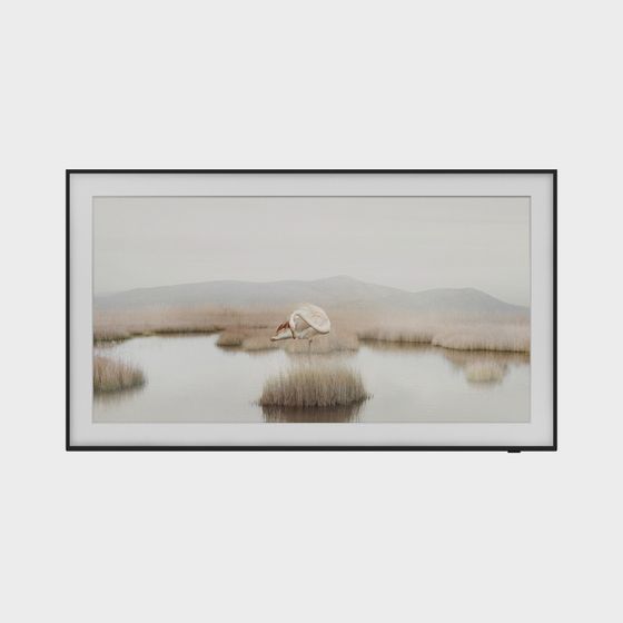 Wetland Dance 3D model