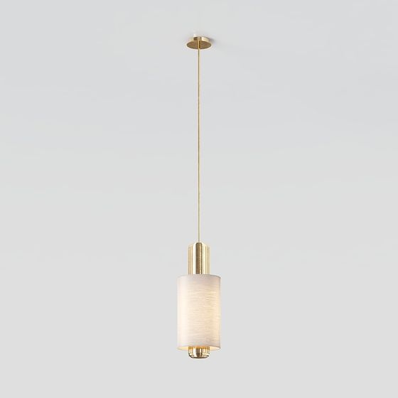 Elegant Light Pendant 3D model