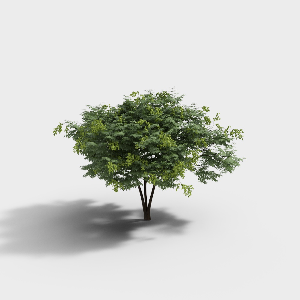 Modern Tree