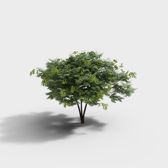 Lively Low-Polygon Tree 3D Model for Creative Projects