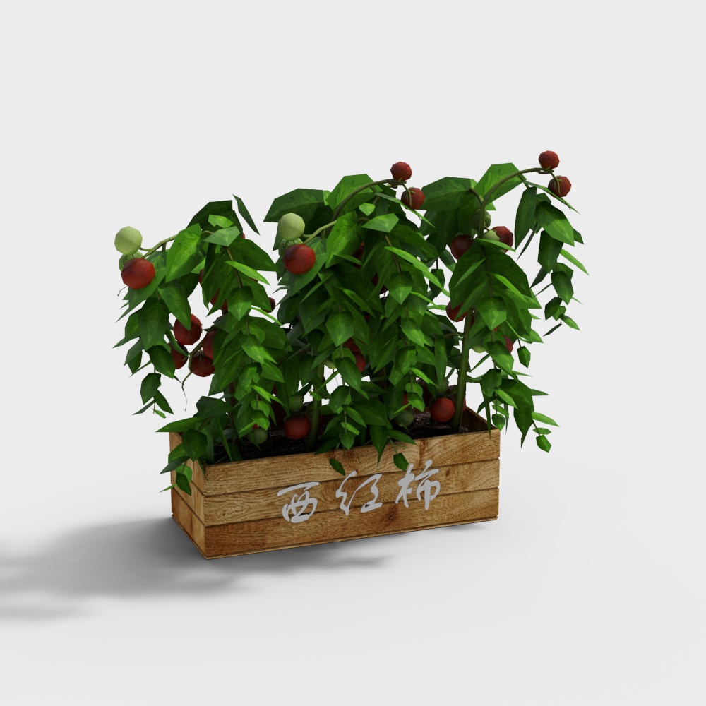 Tomato Box