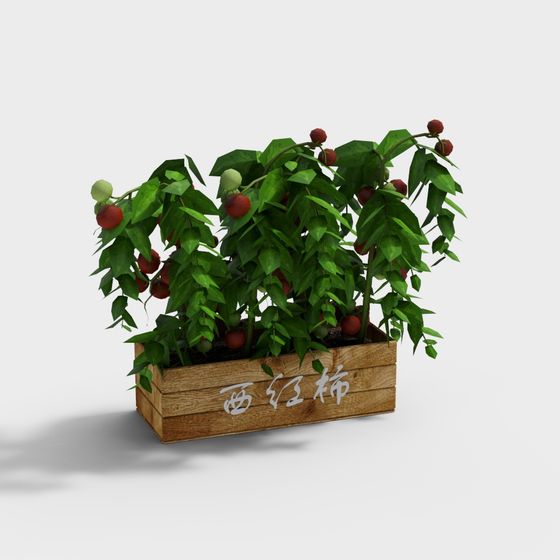 Vibrant Tomato Plant 3D Model for Modern Spaces