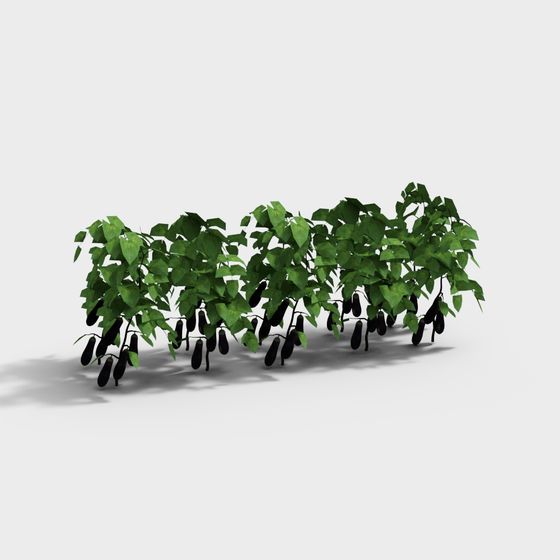 Vibrant Eggplant Patch 3D model for Artistic Projects