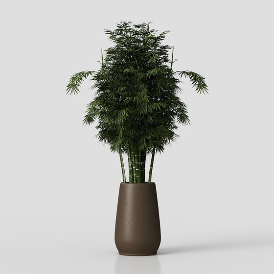 Bamboo Grove Vitality 3D model