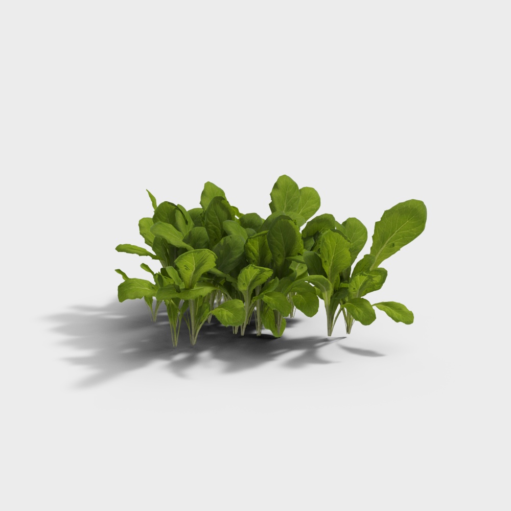Lively Green Leaves 3D model
