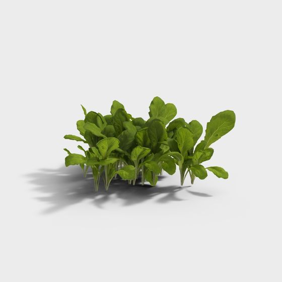 Lively Green Leaves 3D model