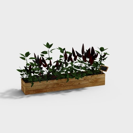 Scatola per peperoncino