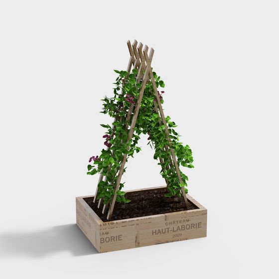 Caja de enredadera trepadora