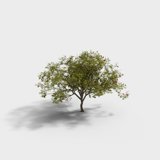Harvest Tree 3D model - Vibrant Apple Tree
