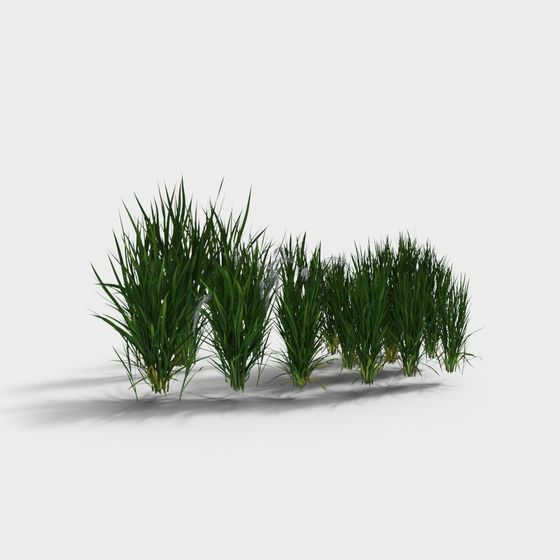 Lush Grassland 3D model