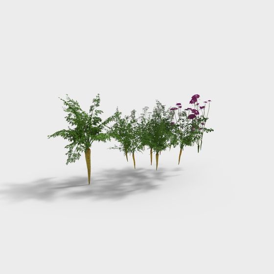 Realistic Carrot 3D Model for Creative Projects